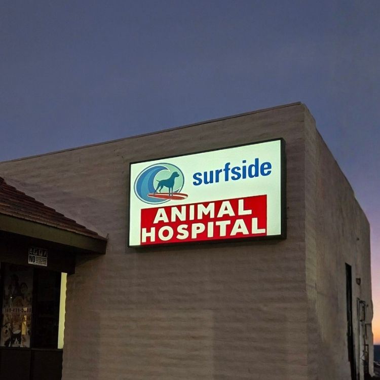 large Lightbox cabinet box showing lite for Surfside Animal Hospital Oceanside CA
