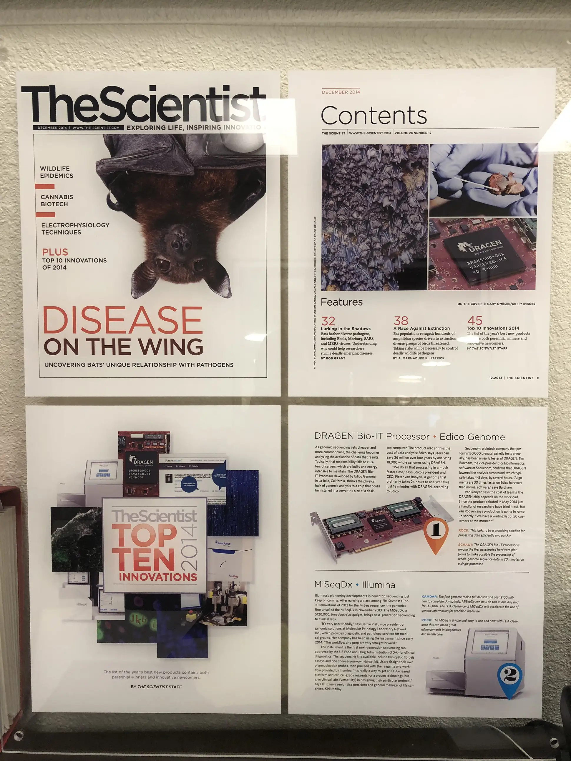 Framed scientific magazine posters and research feature displays mounted on a wall in a life sciences office